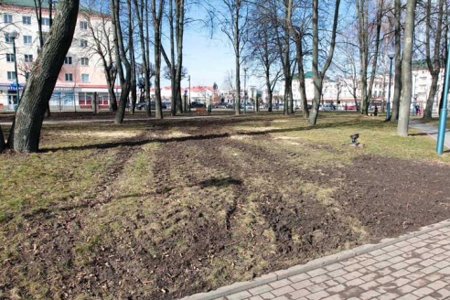 Деревьев становится всё меньше (+фото)