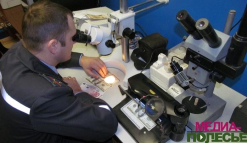 Эксперт-криминалист: внутреннее чутьё и профессиональные знания не следует разграничивать