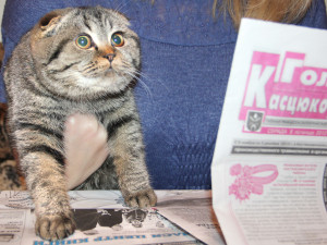 «Я ЛЮБЛЮ СВОЮ ГАЗЕТУ!»