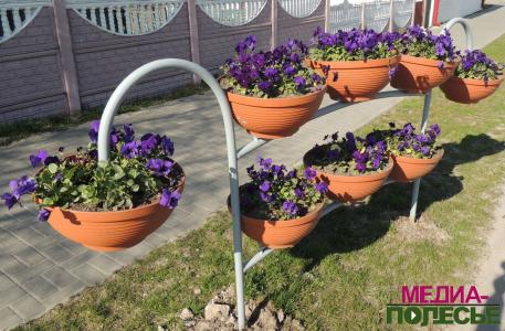 В теплицах Столинского ЖКХ – горячая пора