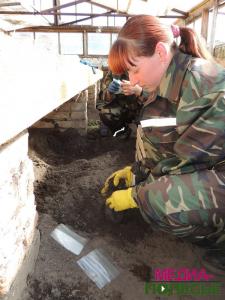 В теплицах Столинского ЖКХ – горячая пора