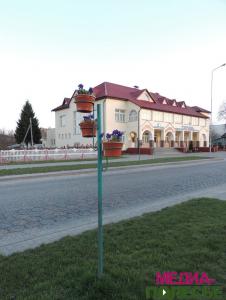 В теплицах Столинского ЖКХ – горячая пора