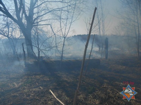 Фотофакт: семь домов за один день сгорели в Гомельской области