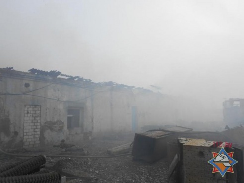 Агроном покурил и сжег кровлю здания на ферме (фото)