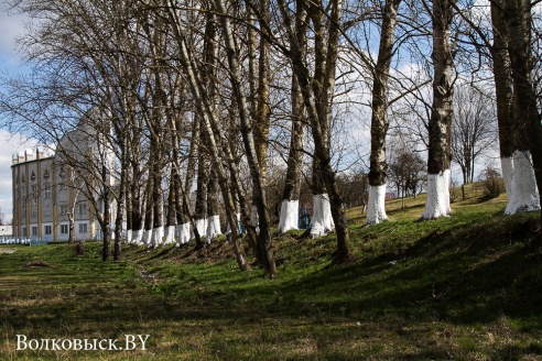 Весенний Волковыск (фото)