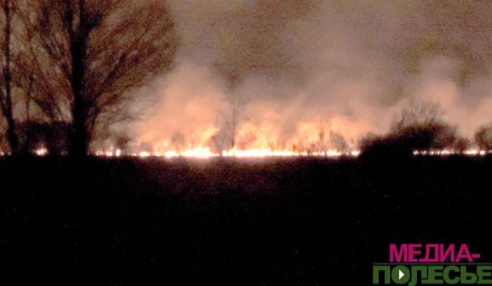 Из-за весенних палов в районе выжжена растительность на 23 гектарах