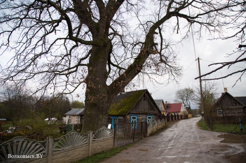 Хвілінка адпачынку