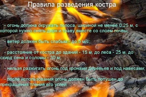В Могилёве определили места, где нельзя жечь костры