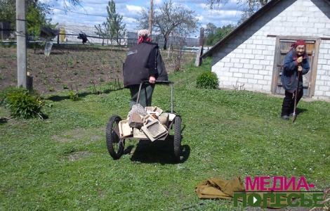 Ещё одна-две ночи с заморозками, и клубники не будет