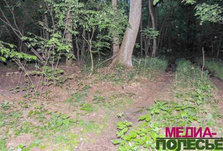 Искатели метеорита нашли останки солдат Красной Армии