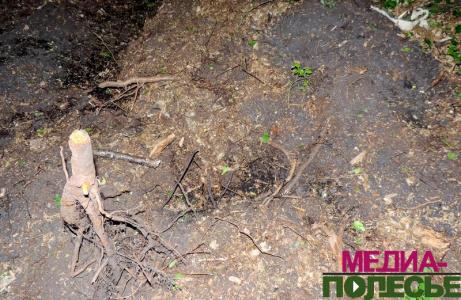 Искатели метеорита нашли останки солдат Красной Армии