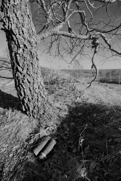 «Нябачныя помнікі Вялікай вайны»