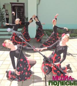 Выставки, представление, аукцион – с Радзивиллами