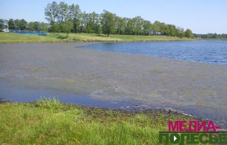 Взгляд на зоны отдыха в преддверии купального сезона