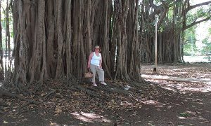 Куба в молодость вернула