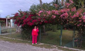 Куба в молодость вернула