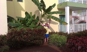 Куба в молодость вернула