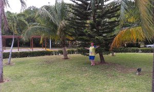 Куба в молодость вернула