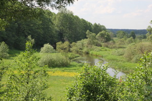 «РОСКВІТ» ТАЛЕНТАЎ НА «ПІСЬМЯНКОВЫМ ЛУЗЕ»