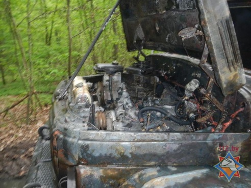 Фотофакт: спасая государственный ЗИЛ, вальщик леса получил ожоги