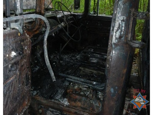 Фотофакт: спасая государственный ЗИЛ, вальщик леса получил ожоги