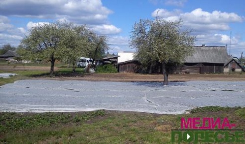 Ещё одна-две ночи с заморозками, и клубники не будет