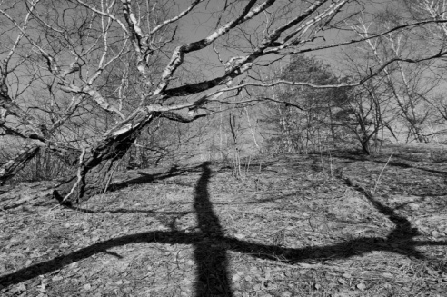 «Нябачныя помнікі Вялікай вайны»