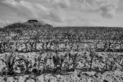 «Нябачныя помнікі Вялікай вайны»