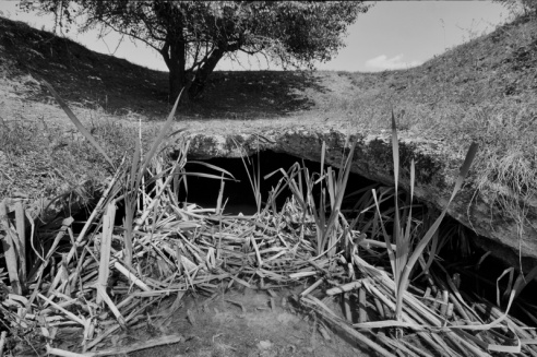 «Нябачныя помнікі Вялікай вайны»