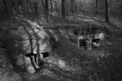 «Нябачныя помнікі Вялікай вайны»