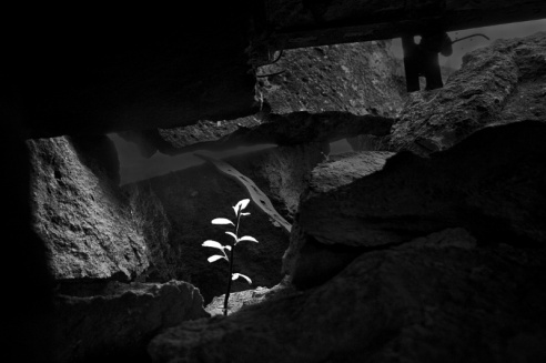 «Нябачныя помнікі Вялікай вайны»