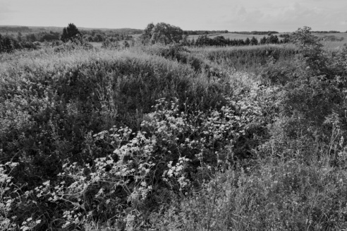 «Нябачныя помнікі Вялікай вайны»