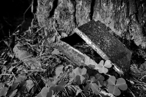 «Нябачныя помнікі Вялікай вайны»