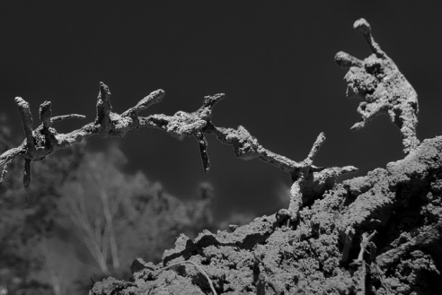 «Нябачныя помнікі Вялікай вайны»