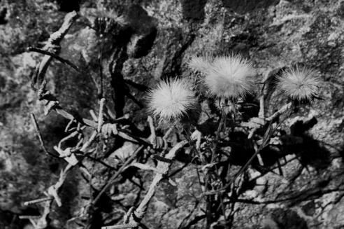 «Нябачныя помнікі Вялікай вайны»