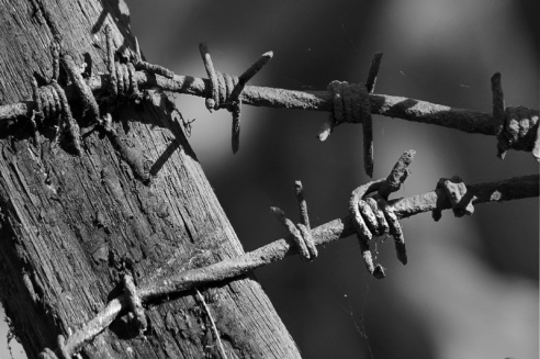 «Нябачныя помнікі Вялікай вайны»