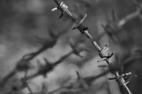 «Нябачныя помнікі Вялікай вайны»