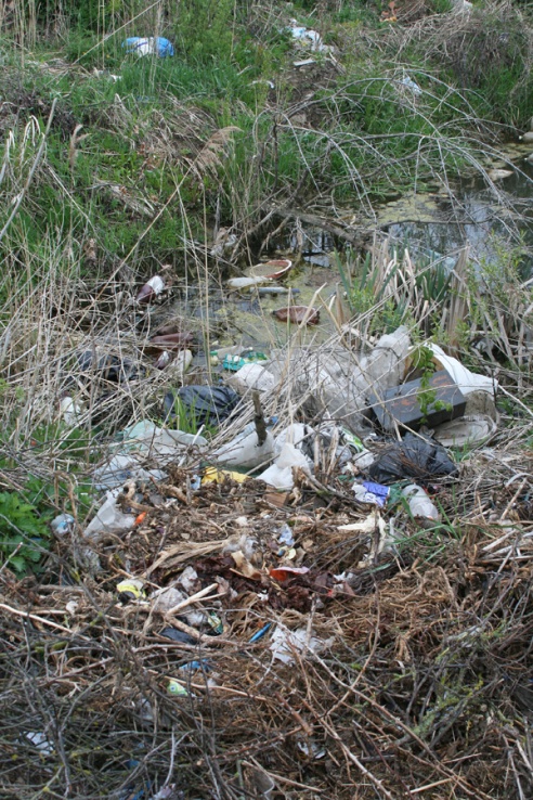 Не пужаюць нават штрафы