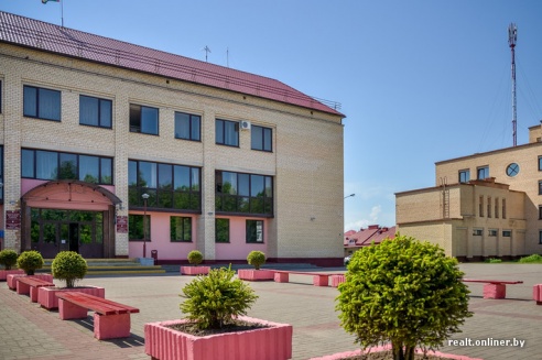 Что увидели столичные журналисты в Дрибине?