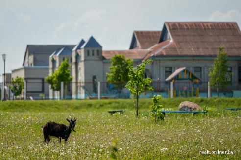 Что увидели столичные журналисты в Дрибине?