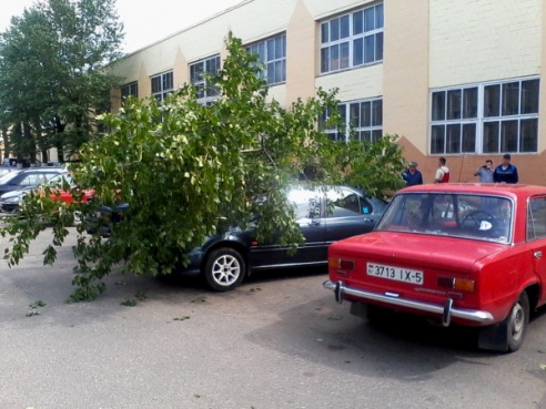 Сгнившее дерево упало на машину