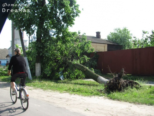 Последствия урагана в Добруше (фото)