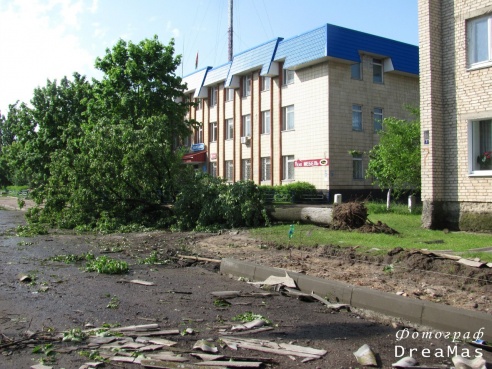 Последствия урагана в Добруше (фото)