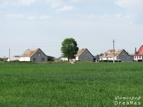 Последствия урагана в Добруше (фото)