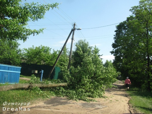 Последствия урагана в Добруше (фото)