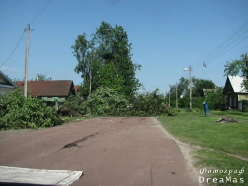 Последствия урагана в Добруше (фото)