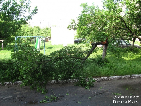 Последствия урагана в Добруше (фото)