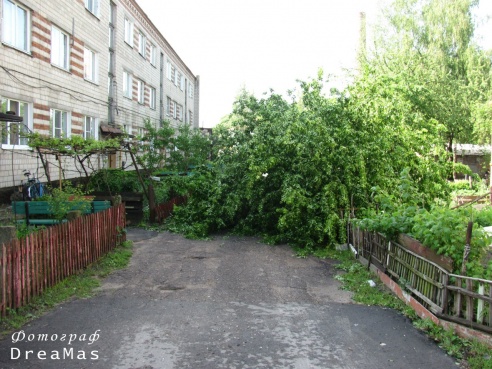 Последствия урагана в Добруше (фото)