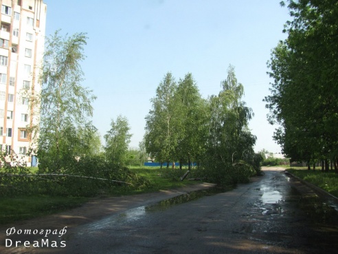 Последствия урагана в Добруше (фото)