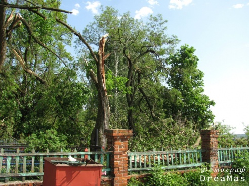 Последствия урагана в Добруше (фото)